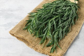 Fresh Tarragon, bunch, top view, close-up, no people