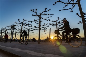 Rhine promenade, Rhine bank at the old town of Düsseldorf, Rhine knee bridge, Rhine tower, cycle