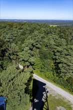 Forest area The Haard, in the northern Ruhr area, bordering the Münsterland, part of the Hohe Mark