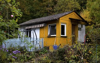 Garden house, garden shed, yellow, allotment garden, Stuttgart, Baden-Württemberg, Germany, Europe