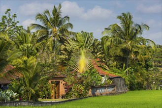 Resort in the rice paddies, residential house, architecture, travel, tourism, Ubud in Bali,