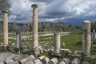 Excavation site site of the ancient city of Aphrodisias, today's city of Geyre, Karacasu, Aydin,