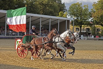 Warendorf State Stud, Stallion Parade, Quadriga