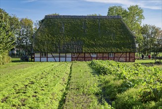 Historic Selmsdorf farmhouse, Klockenhagen open-air museum, historic Mecklenburg village,