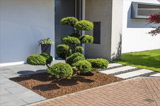 Modern and well-kept front garden with beautiful planting