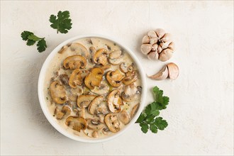 Champignons in creamy garlic sauce, with herbs and spices, gravy, sauce, no people