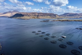 Floating cages of a salmon farm, sea between Isle of Ulva and Isle of Mull, Mt. Ben More (Mull) in