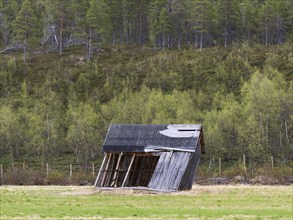 Dilapidated farm shed in a meadow, May, Finnmark, Norway, Europe