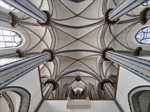 View of the ribbed vault of the Namen-Jesu-Kirche, Bonn, North Rhine-Westphalia, Germany, Europe