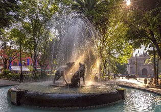 Beautiful Coyoacan streets and houses in historic district that hosts Frida Khalo museum and