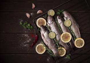 Raw rainbow trout, with lemon and herbs, on a wooden table, no people