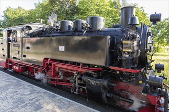 Close-up of a steam locomotive with visible technology and steam, Rügen, Rasender Roland