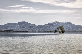 Calm lake with small islands and trees, surrounded by mountains under a cloudy sky, Chiemsee