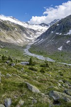 Picturesque mountain landscape, behind mountain peak with snow and glacier Hornkees, valley with