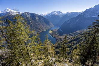 Panoramic view of the Königssee from the Archenkanzel viewpoint, autumnal forest and snow-capped