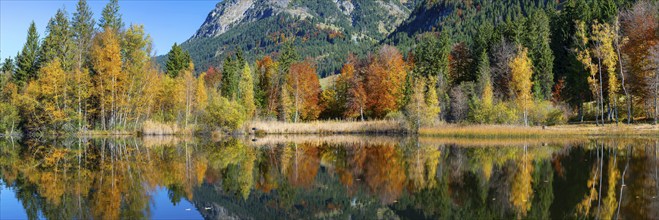 Moorweiher near Oberstdorf, Oberallgäu, Allgäu, Bavaria, Germany, Europe