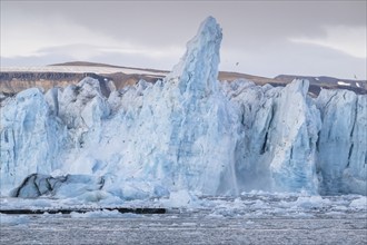 Calving glacier, calving, collapsing edge of Negribreen, Stjorfjord, Spitsbergen Island, Svalbard