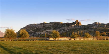 Sheep herd grazing in front of Van castle at sunset, Van, Turkey, Asia