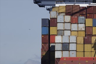 Containers on a ship at the port of Felixstowe, Suffolk, England, United Kingdom, Europe