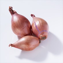 3 common onions (Allium cepa), on white background, studio shot