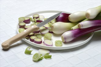 White and purple spring onions and onion slices in their skins, spring onion