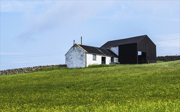 Farms over Upper Teesdale and River Tees, Forest-in-Teesdale village, County Durham and Cumbria,