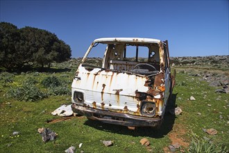 A rusty, abandoned van stands in a meadow with green grass and trees under a blue sky, wrecked