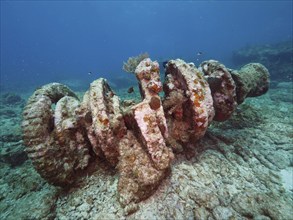 Winch of an old sunken shipwreck on the seabed. Dive site John Pennekamp Coral Reef State Park, Key