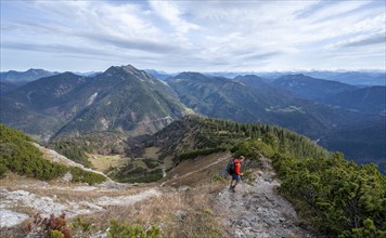 Hiker on the Schinder, Tegernsee mountains in the Mangfall mountains, Germany, Europe