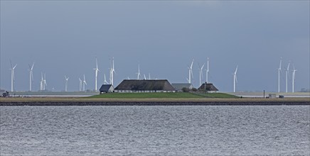 Thatched roof houses, wind turbines, Hamburger Hallig, North Friesland, Schleswig-Holstein,