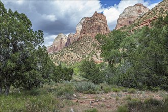 Rock formations in the rugged mountains of Zion National Park, Utah