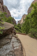 Rock formations along a paved portion of the Riverside Walk in Zion National Park, Utah