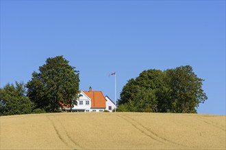 White house with a red roof surrounded by trees, standing in a field of wheat under a clear blue