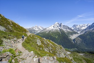 Mountaineer on a hiking trail in front of a mountain landscape, view of the mountain peaks Aiguille