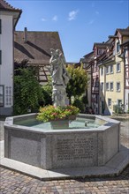 The Schnabelgiere fountain in front of historic half-timbered houses with the central figure of the