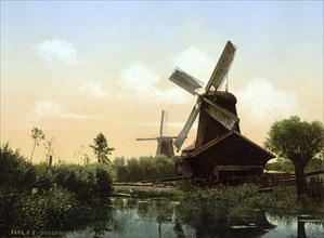 Windmills on the Noordendijk, Dordrecht, Holland, ca 1895, Historical, digitally restored