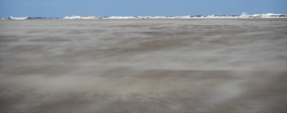 Beach on Texel, Netherlands