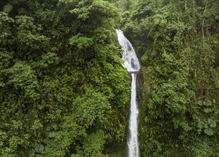 Aerial view, waterfall in the rainforest, Catarata de la Paz, La Paz Waterfall Gardens Nature Park,