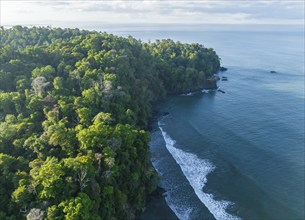 Aerial view, ocean and coast with rainforest, Playa Ventanas, Puntarenas province, Costa Rica,