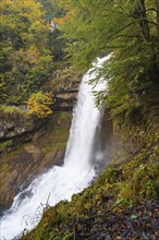 A waterfall cascades down in a wooded area with colourful autumn leaves, Lake Brienz, Giessbach