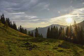 Evening atmosphere on the Hochalm with alpine meadow and forest, Sonntagshorn, Chiemgau Alps,