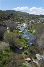 River flows through a green valley with rocks and vegetation, under a blue sky with clouds,