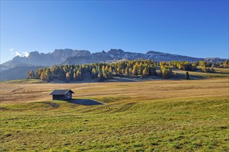 Hut on the Alpe di Siusi, blue sky, autumn, Dolomites, South Tyrol