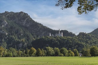 Neuschwanstein Castle, Hohenschwangau, Allgäu Alps, Allgäu, Bavaria, Germany, Europe