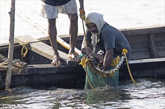 Mussel fisherman emptying his net on the Vembanad Lake, canal system of the backwaters, Kerala,