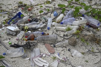 Plastic waste washed ashore, Loango National Park, Parc National de Loango, Ogooué-Maritime