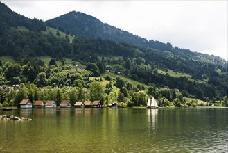 Bühl, Großer Alpsee, Immenstadt, Oberallgäu, Allgäu, Swabia, Bavaria, Germany, Europe