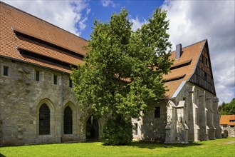 Walkenried Abbey is a former Cistercian abbey in Walkenried, situated on the southern edge of the