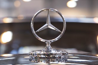 Mercedes star on a Mercedes Benz 600. Techno Classica is the trade fair for vintage, classic and