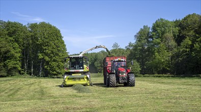 Tractor with trailer running beside Claas Jaguar 870 forage harvester, self-propelled silage